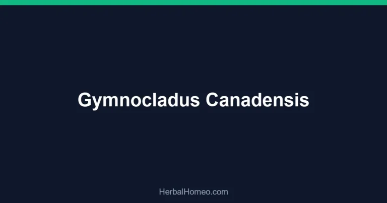 Gymnocladus Canadensis
