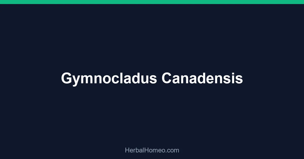 Gymnocladus Canadensis