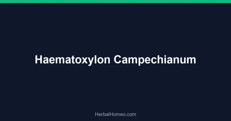 Haematoxylon Campechianum