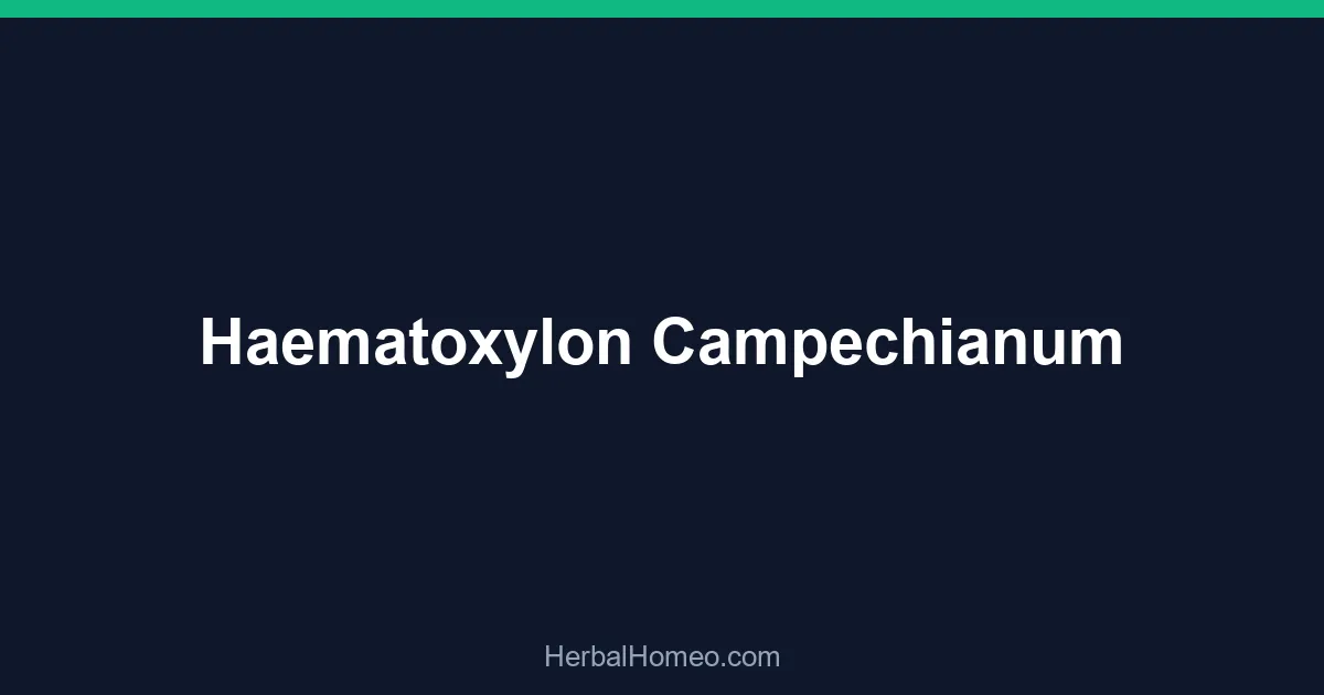 Haematoxylon Campechianum