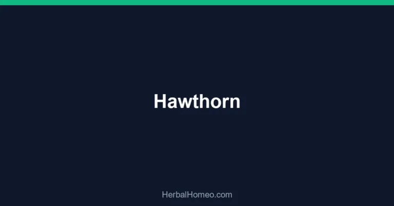 Hawthorn