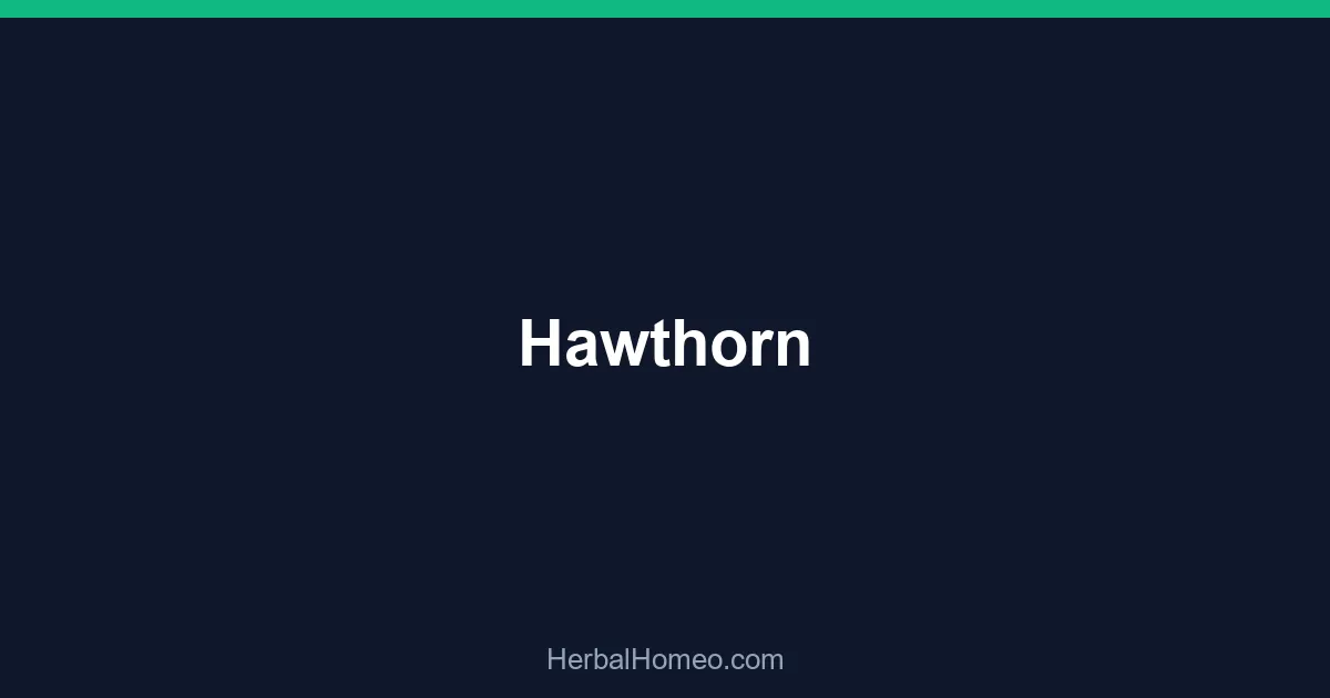 Hawthorn