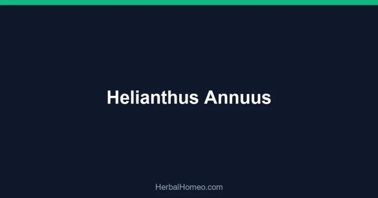 Helianthus Annuus