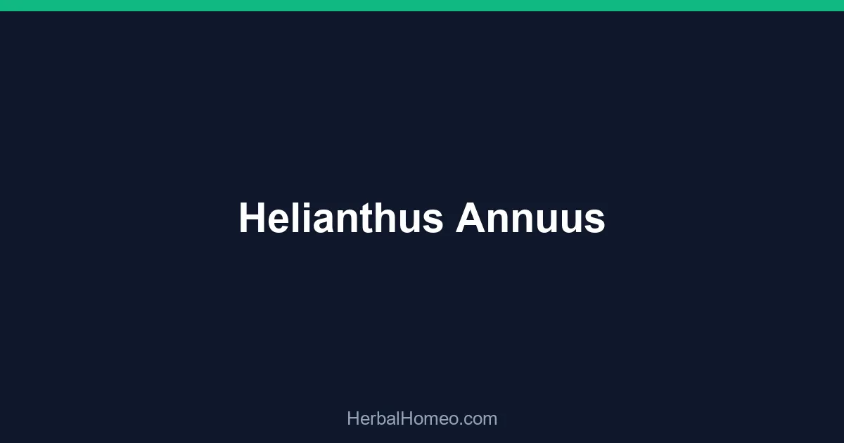 Helianthus Annuus