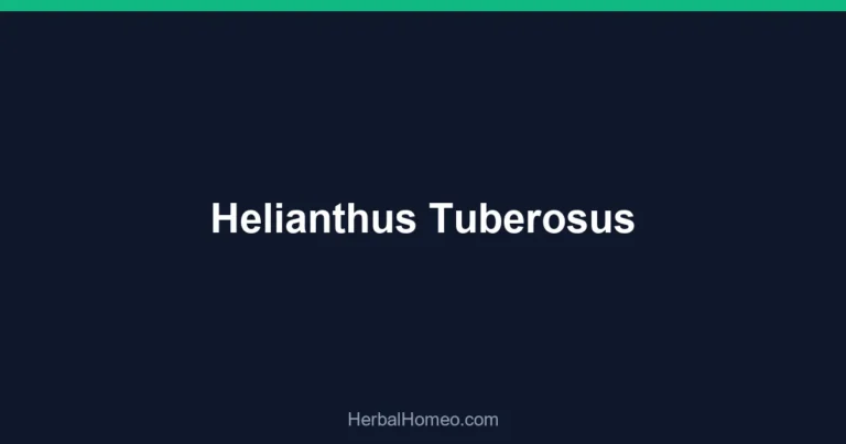 Helianthus Tuberosus