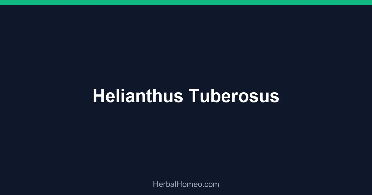 Helianthus Tuberosus