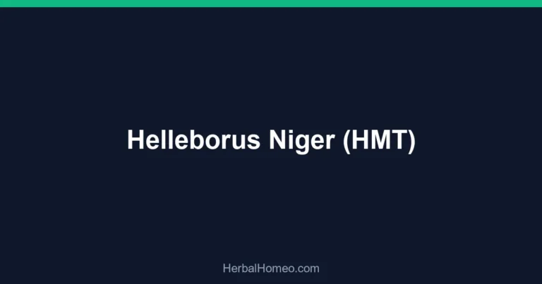 Helleborus Niger (HMT)