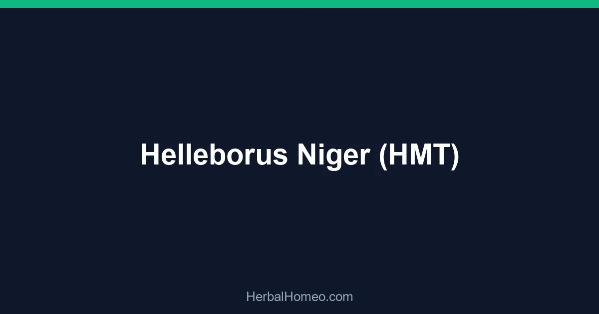 Helleborus Niger (HMT)
