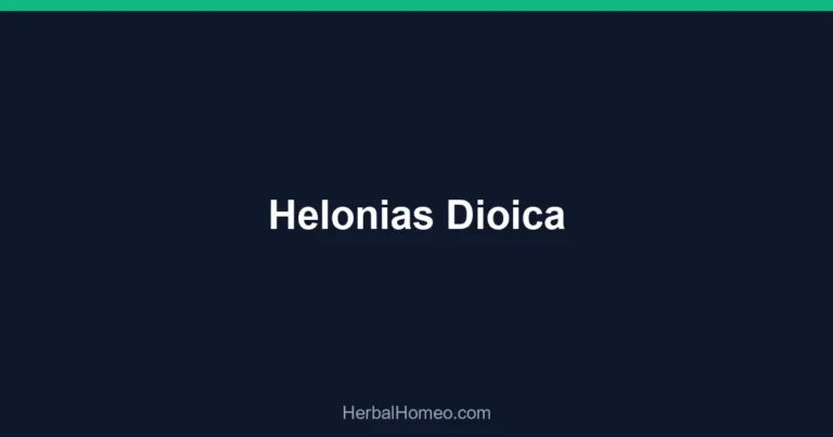 Helonias Dioica