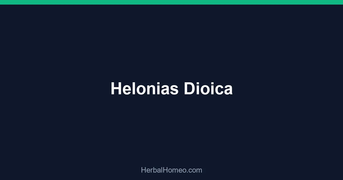 Helonias Dioica