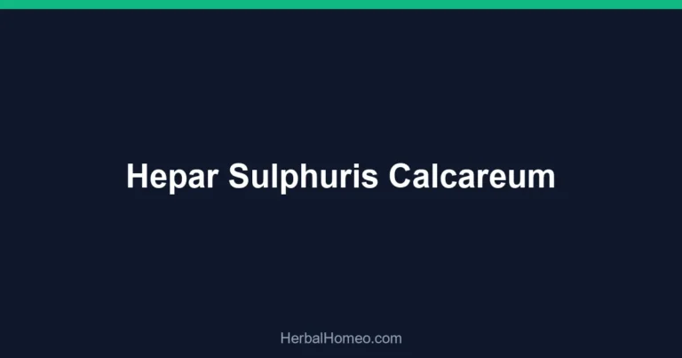 Hepar Sulphuris Calcareum