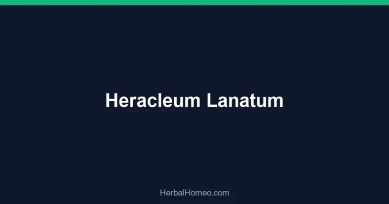 Heracleum Lanatum