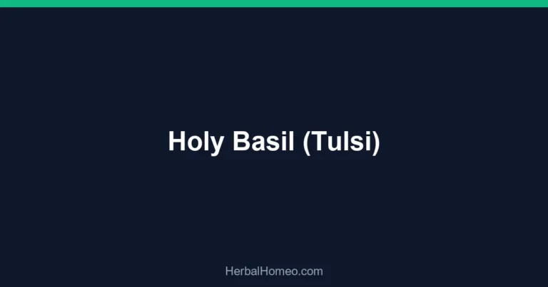 Holy Basil (Tulsi)