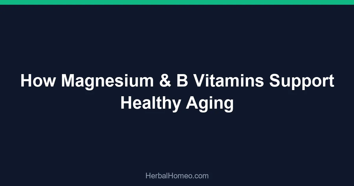 How Magnesium & B Vitamins Support Healthy Aging