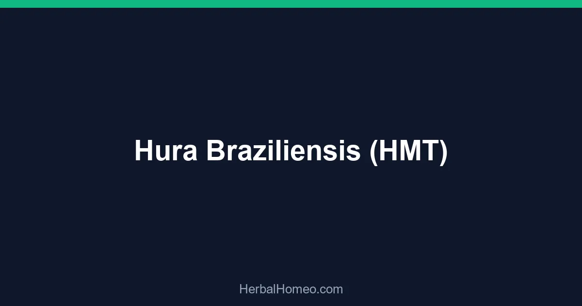Hura Braziliensis (HMT)