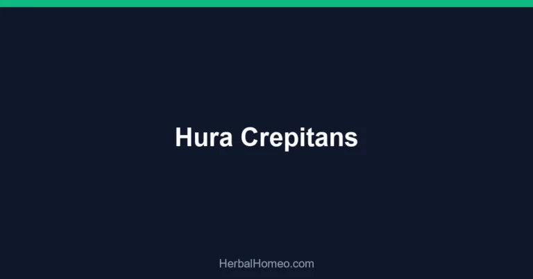 Hura Crepitans