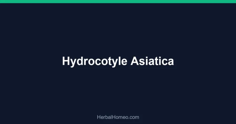 Hydrocotyle Asiatica