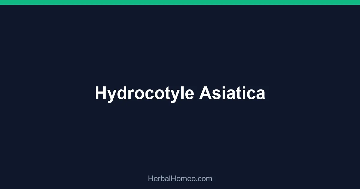 Hydrocotyle Asiatica