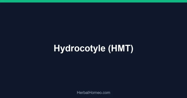 Hydrocotyle (HMT)