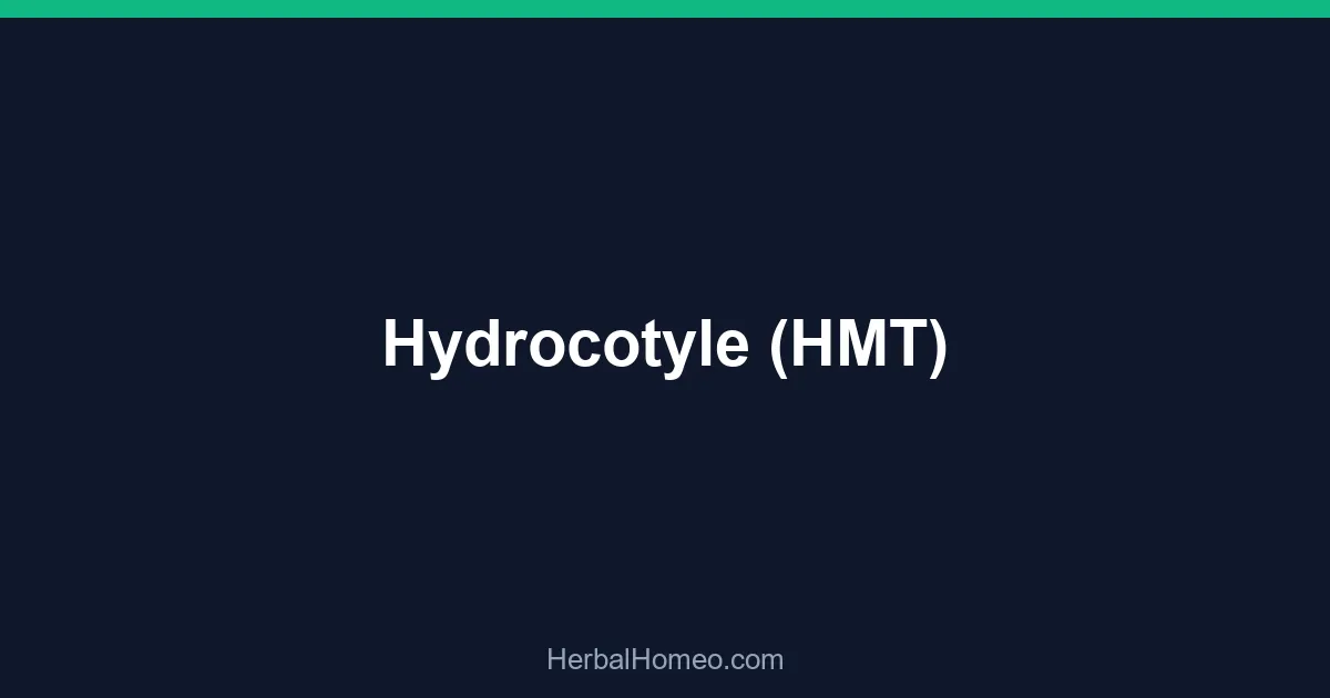 Hydrocotyle (HMT)