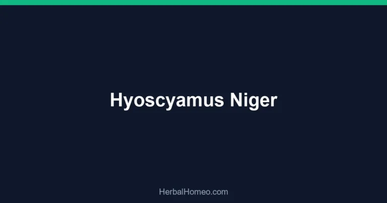 Hyoscyamus Niger