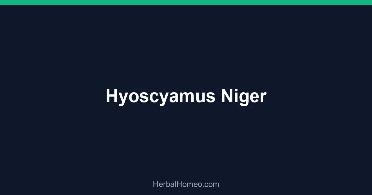 Hyoscyamus Niger