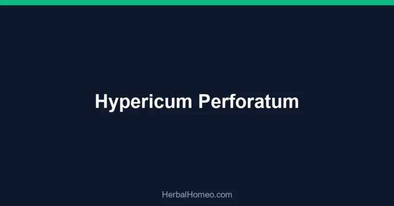 Hypericum Perforatum