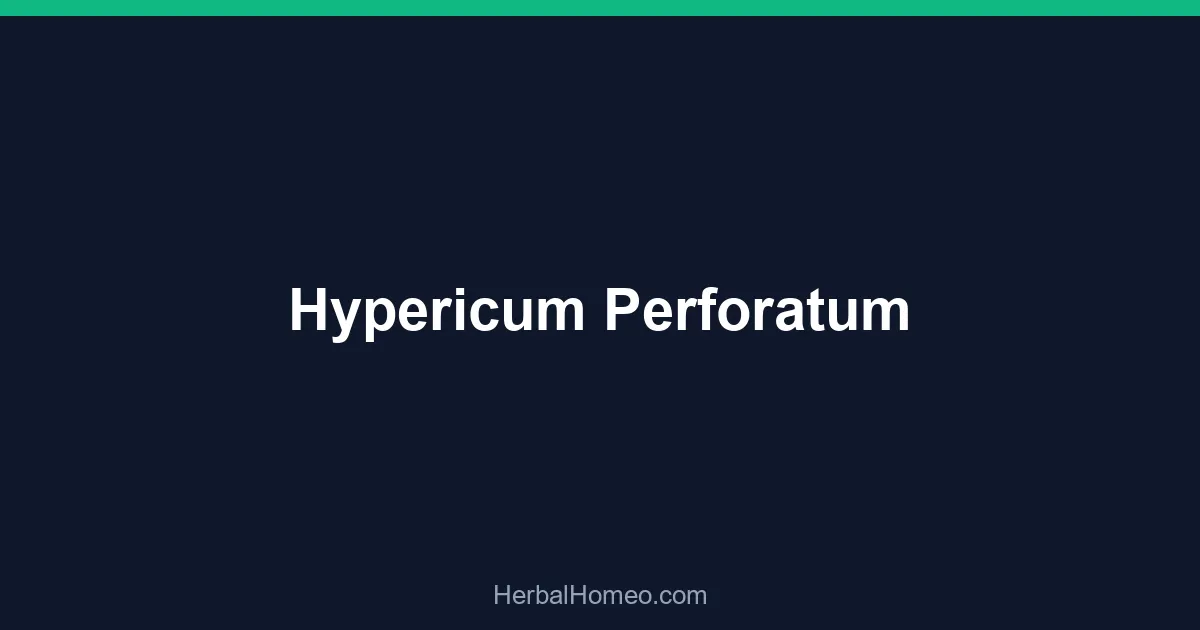 Hypericum Perforatum