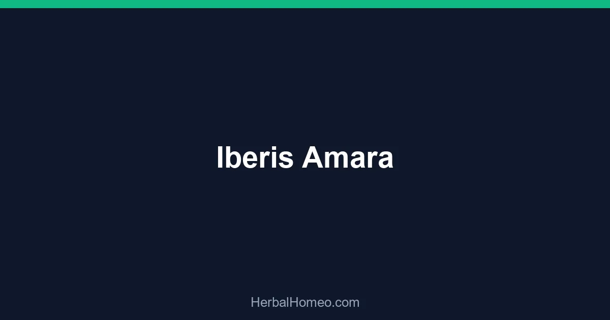 Iberis Amara