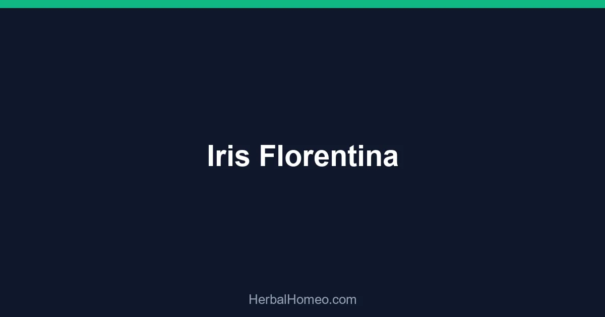 Iris Florentina