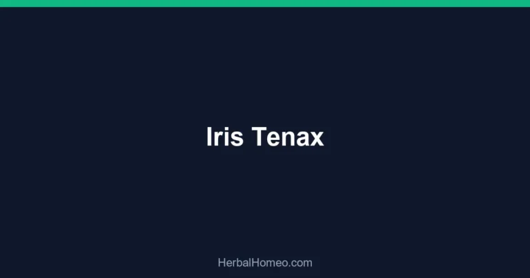 Iris Tenax