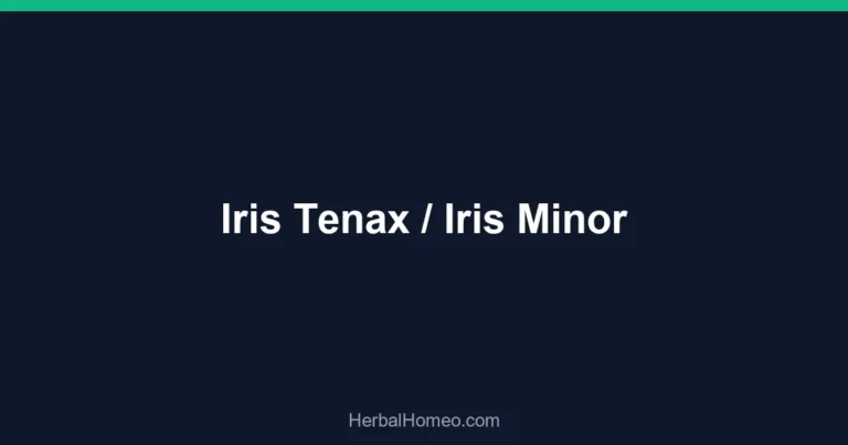 Iris Tenax / Iris Minor