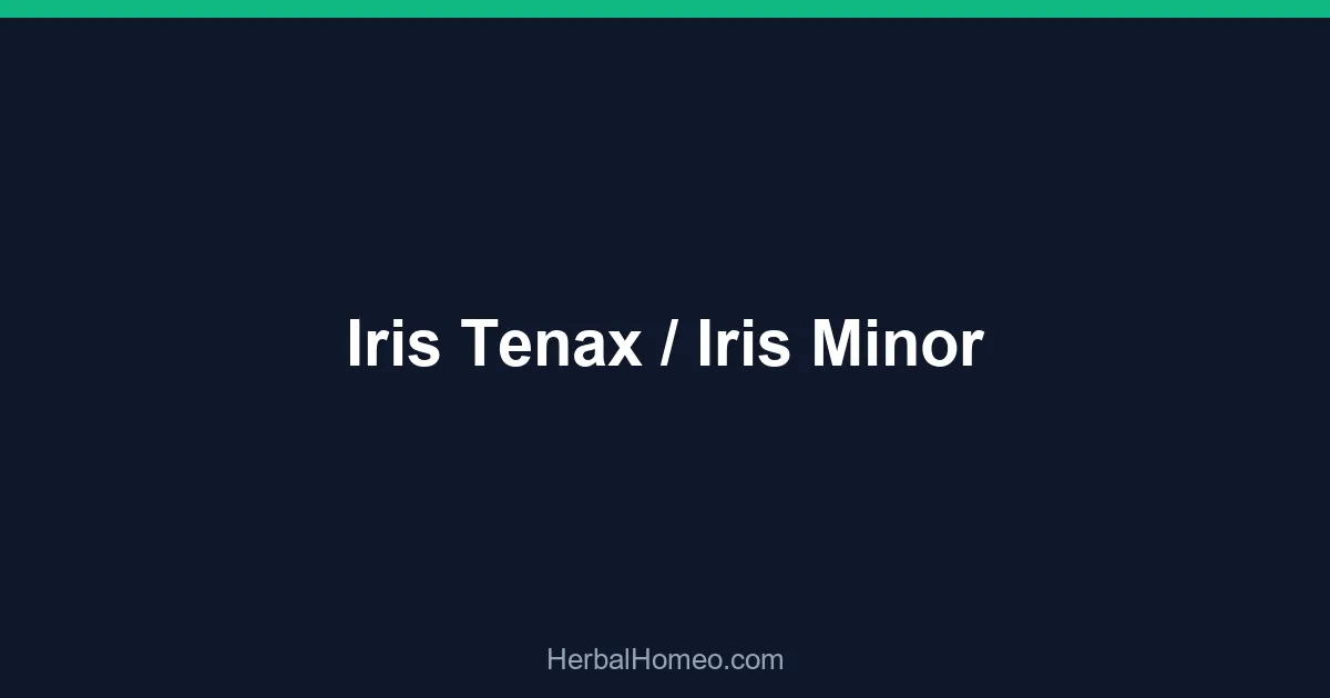 Iris Tenax / Iris Minor