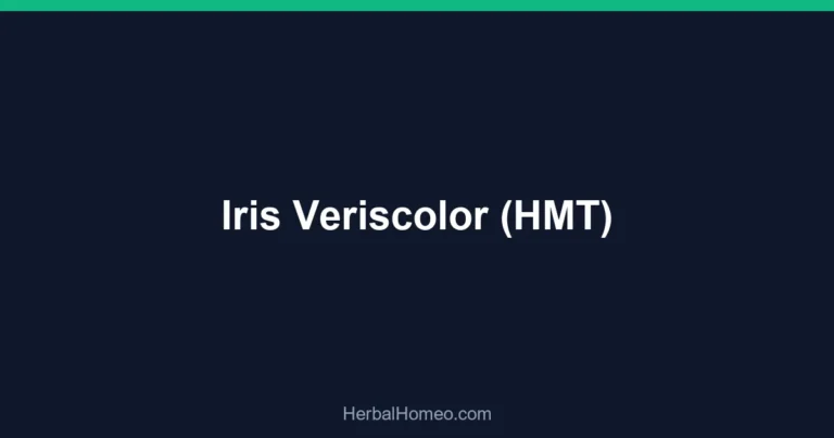 Iris Veriscolor (HMT)
