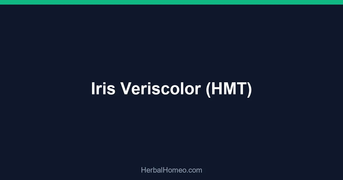 Iris Veriscolor (HMT)