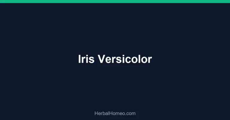 Iris Versicolor