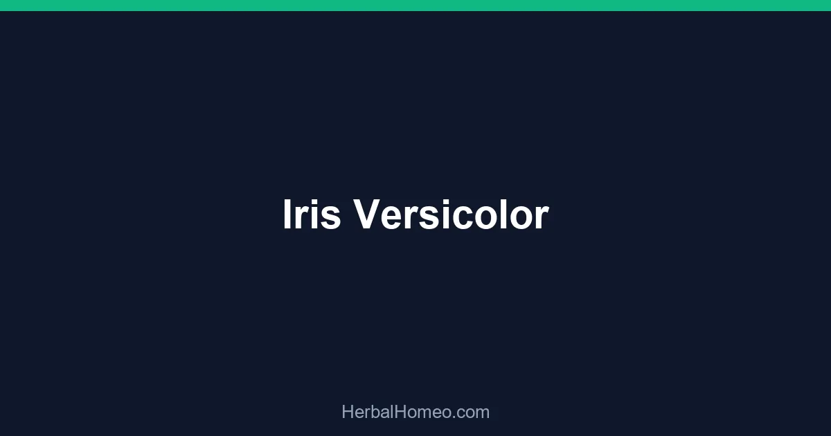 Iris Versicolor
