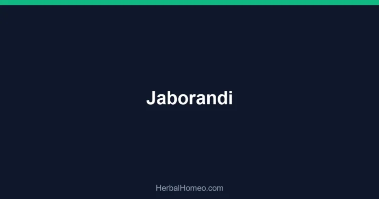 Jaborandi
