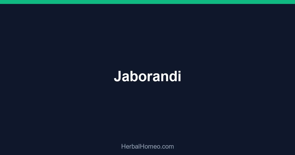 Jaborandi