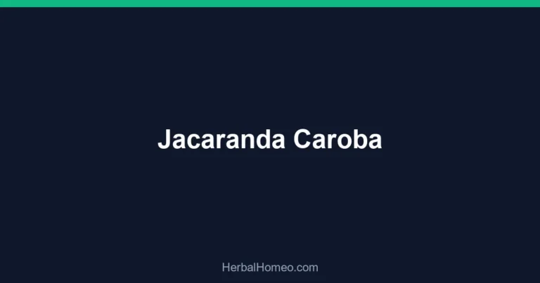 Jacaranda Caroba