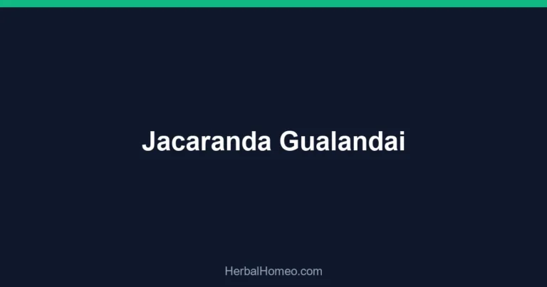 Jacaranda Gualandai