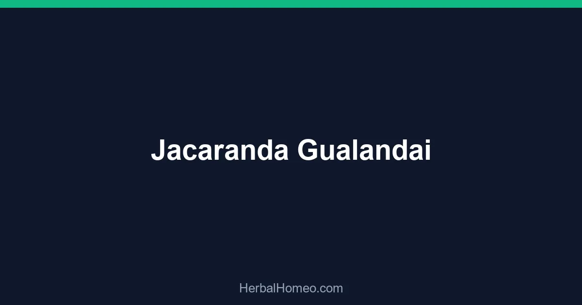 Jacaranda Gualandai
