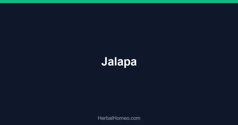Jalapa