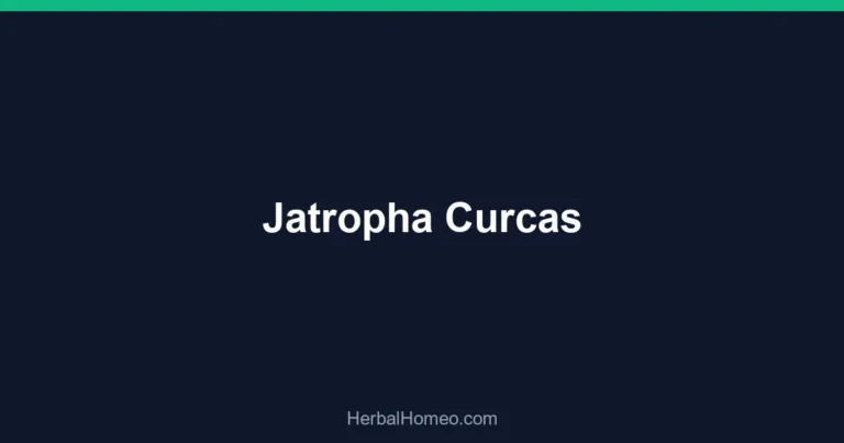 Jatropha Curcas