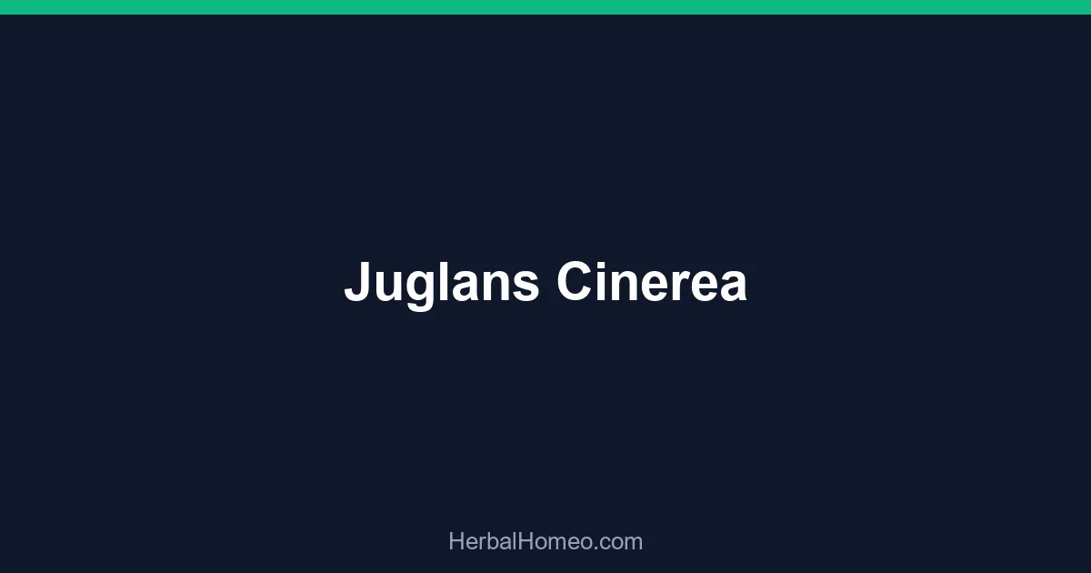 Juglans Cinerea