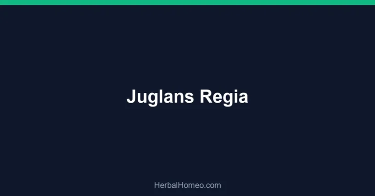 Juglans Regia