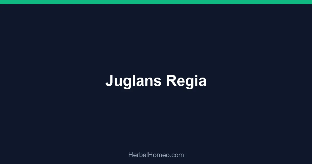 Juglans Regia