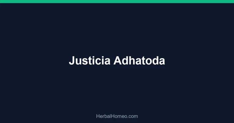 Justicia Adhatoda