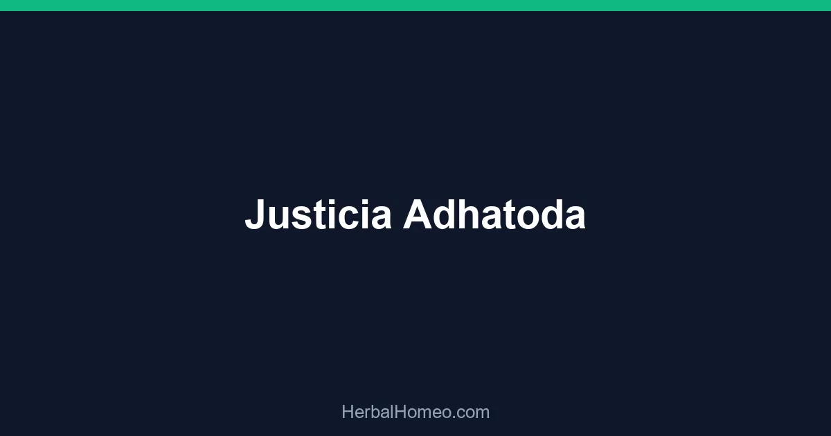 Justicia Adhatoda