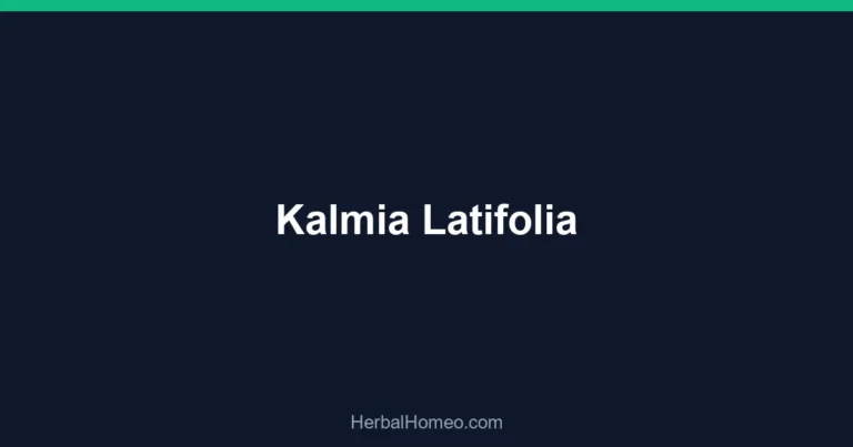 Kalmia Latifolia